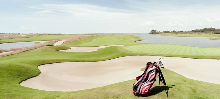 维多利亚湖塞雷娜高尔夫水疗度假村(Lake Victoria Serena Golf Resort & Spa)图片