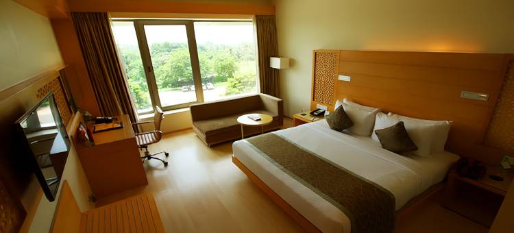 拉普萨亚吉酒店(Sayaji Raipur)图片