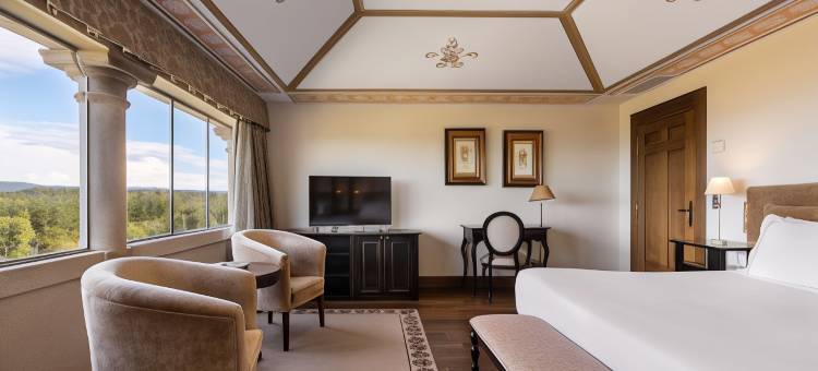 欧洲之星索贝尔金色宫殿酒店(Áurea Palacio de Sober by Eurostars Hotel Company)图片