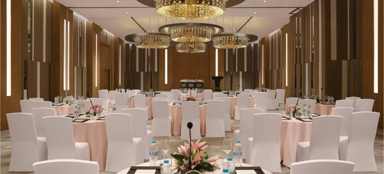 古瓦哈蒂GS路诺富特酒店(Novotel Guwahati GS Road)图片