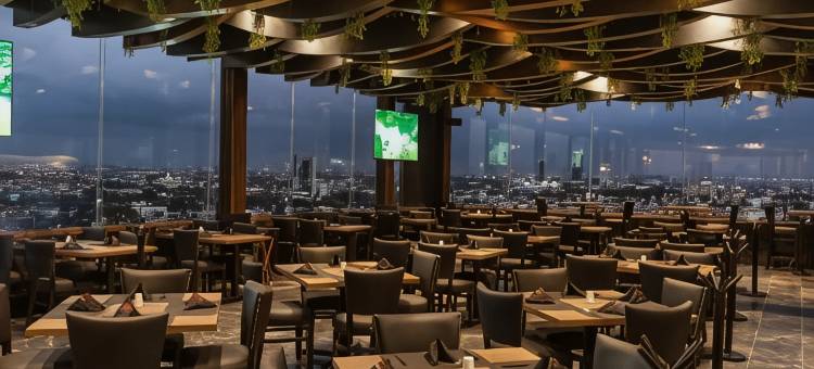 丽笙普埃布拉安赫洛波利斯(Hotel Radisson Puebla Angelopolis)图片