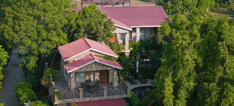 生命之树Vanvilas Riveredge(Tree of Life Vanvilas Riveredge Corbett)图片