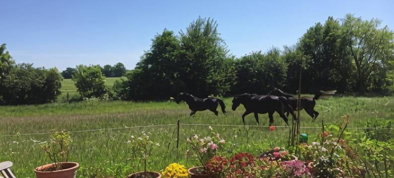塞姆洛的带花园和露台的公寓(Wohnung in Semlow Mit Garten Und Terrasse)图片