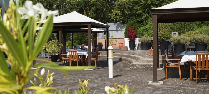 奥利维尔酒店(Hotel Olivier)图片