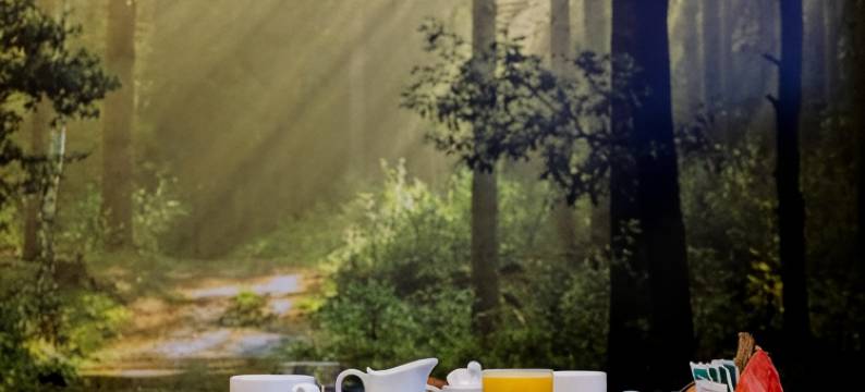 萨拉曼卡套房一室公寓(Salamanca Suite Studios)图片