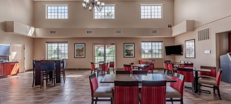 舒适套房酒店-德拉文日内瓦湖区(Comfort Suites Delavan - Lake Geneva Area)图片