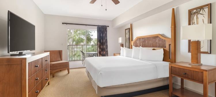 奥兰多西部希尔顿假日俱乐部水晶酒店(Hilton Vacation Club Aqua Sol Orlando West)图片