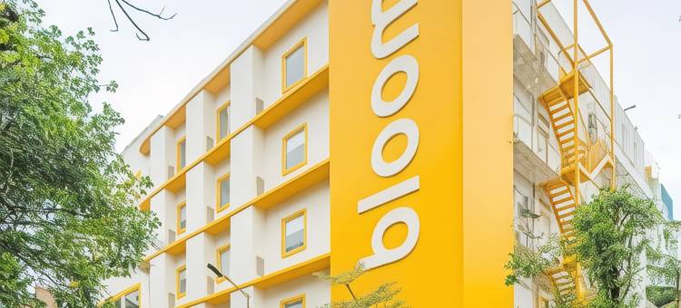 布鲁姆酒店-布鲁克菲尔德(Bloom Hotel - Brookefield)图片