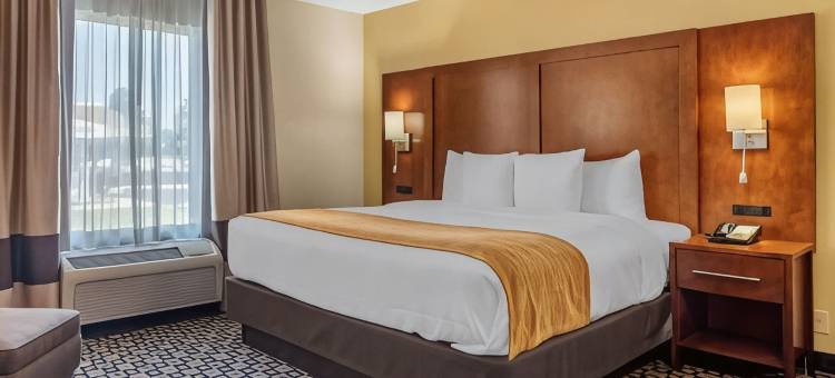 舒适套房酒店(Comfort Inn & Suites Athens North)图片