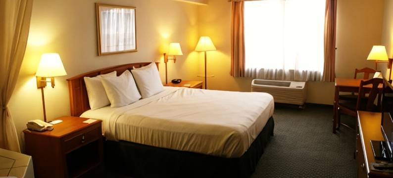 兰辛丽怡酒店(Country Inn & Suites by Radisson, Lansing, MI)图片