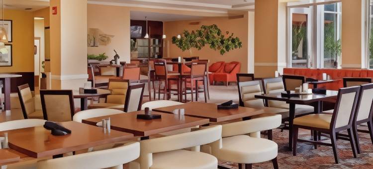 圣路易斯机场希尔顿花园酒店(Hilton Garden Inn St. Louis Airport)图片