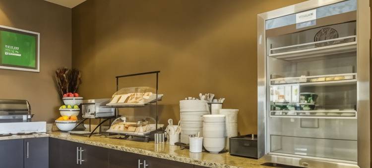 舒适套房酒店-埃德蒙顿国际机场(Comfort Inn & Suites Edmonton International Airport)图片