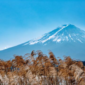 日本东京+富士山2日1晚拼小团