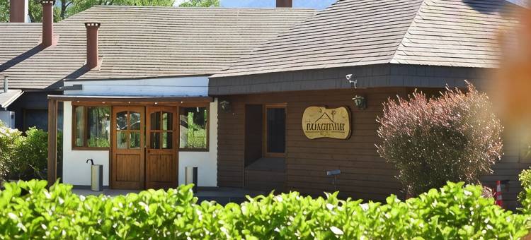 普孔绿色公园酒店(Hotel Pucon Green Park)图片