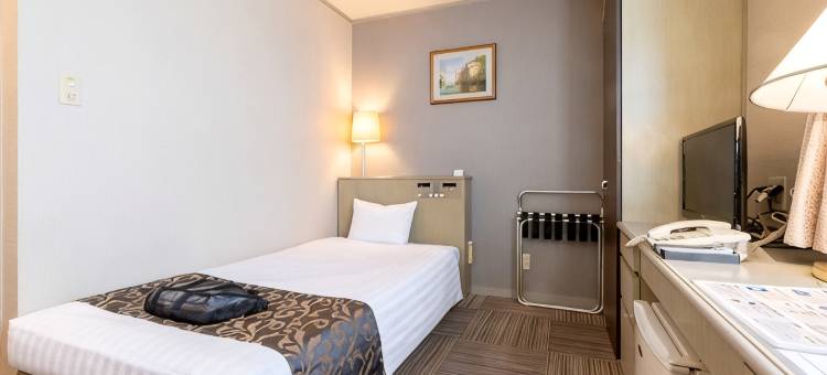 新琵琶湖酒店(New Biwako Hotel)图片