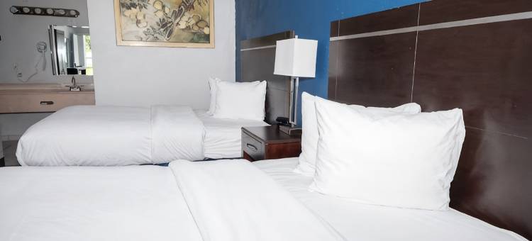 佛州阿尔塔蒙特斯普林斯6号汽车旅馆(Motel 6 Altamonte Springs, FL)图片