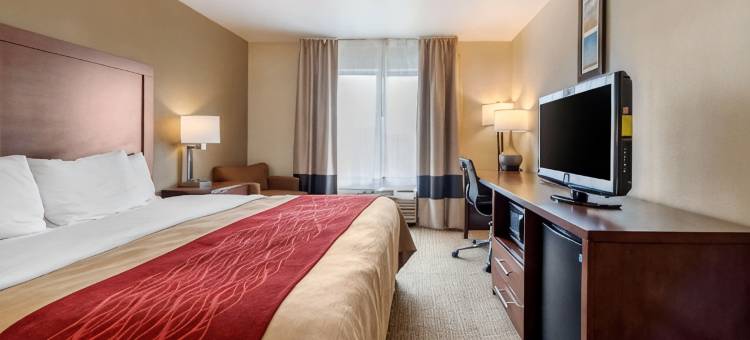 舒适酒店(Comfort Inn Limon)图片