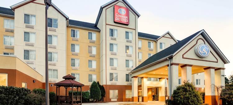 夏洛特洲际套房酒店(Charlotte Suites by IHG)图片