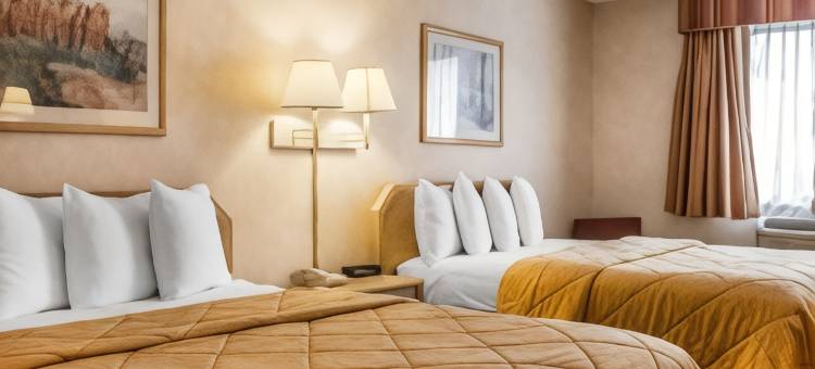尤马品质套房酒店(Quality Inn & Suites Yuma)图片