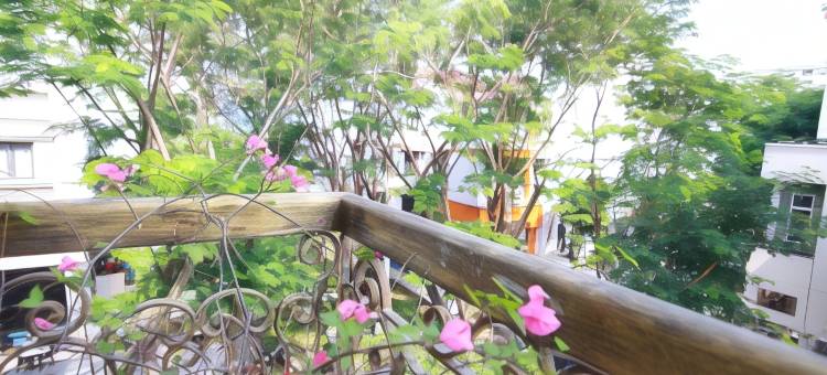 精品花园酒店(Boutique Garden Hotel)图片