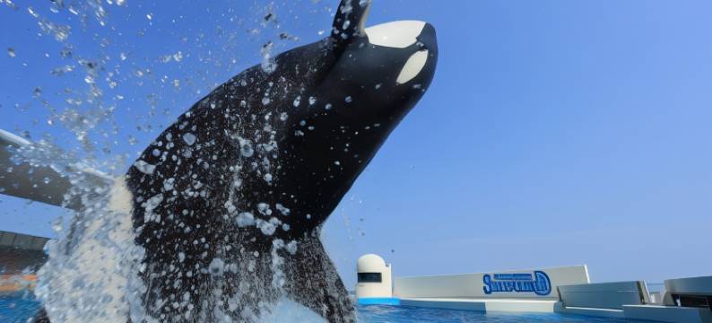 安房鸭川三日月海洋公园酒店(Mikazuki Sea-Park Hotel Awa Kamogawa)图片