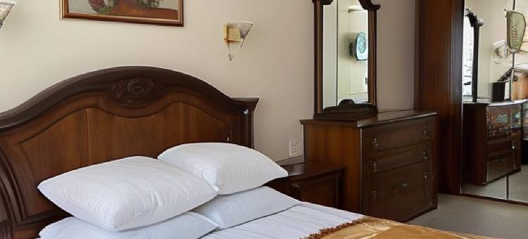 科托洛索酒店(Kotorosl Hotel)图片
