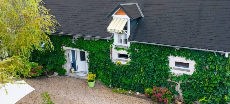 马尔帕鲁农场酒店(Ferme de Marpalu)图片