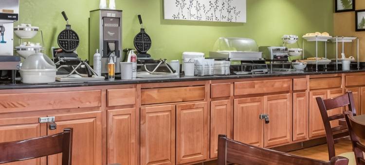 安眠套房酒店(Sleep Inn & Suites)图片