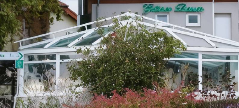 祖格恩巴姆旅馆(Zum grünen Baum Hotel Frankfurt Airport)图片