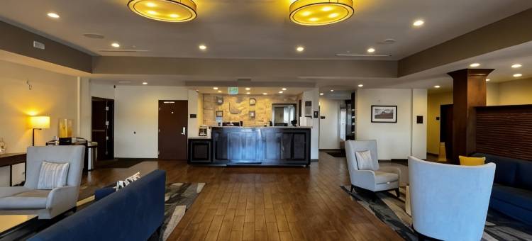 丹佛国际机场舒适套房酒店(Comfort Suites Denver International Airport)图片