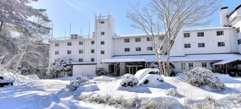 Tateshina Park Hotel图片