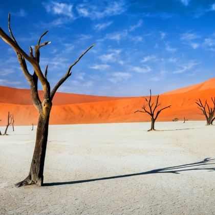 纳米比亚埃托沙国家公园+鲸湾港+纳米布沙漠+死亡谷10日8晚私家团