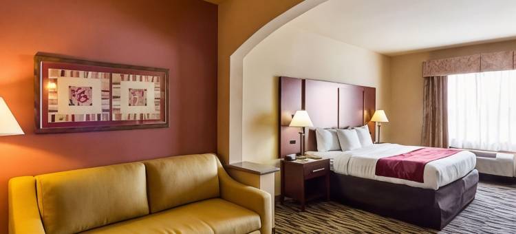 广场购物中心舒适套房酒店(Comfort Suites at Plaza Mall)图片