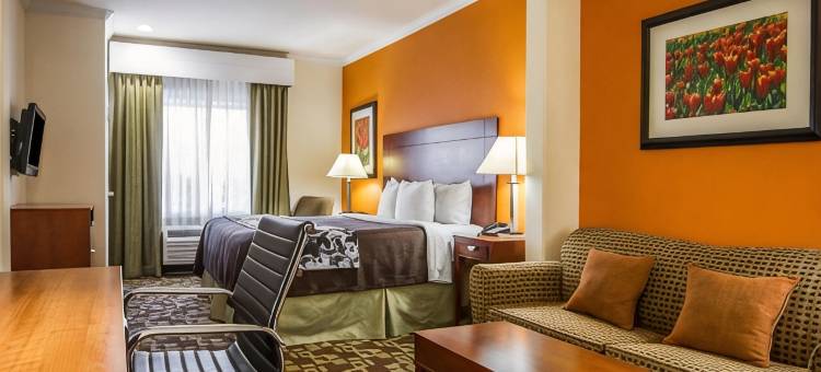 什里夫波特西舒眠套房酒店(Sleep Inn & Suites Shreveport West)图片