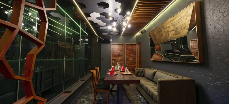 图斯特拉-古铁雷斯品质酒店(Hotel Vista Inn Premium)图片