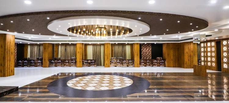 精致钯金酒店(Hotel Delite Palladium)图片