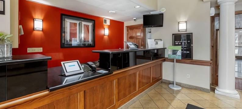 美洲长住套房酒店-拉斯维加斯火烈鸟(MainStay Suites Las Vegas Flamingo)图片