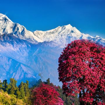 尼泊尔加德满都+博卡拉+奇旺+蓝毗尼8日7晚私家团