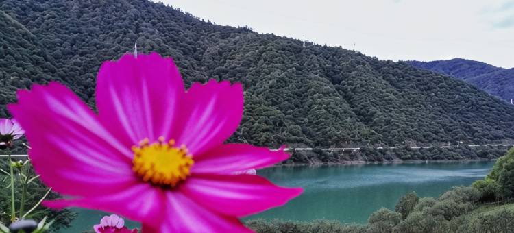 平武白马庄园·古寨壹号图片