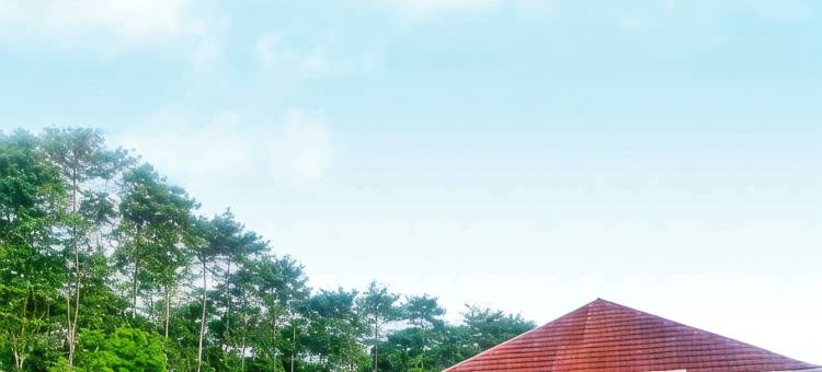 潘塔克阿亚纳酒店(Arayanna Hotel & Resort)图片