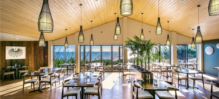 漂流度假酒店(Castaways Resort)图片