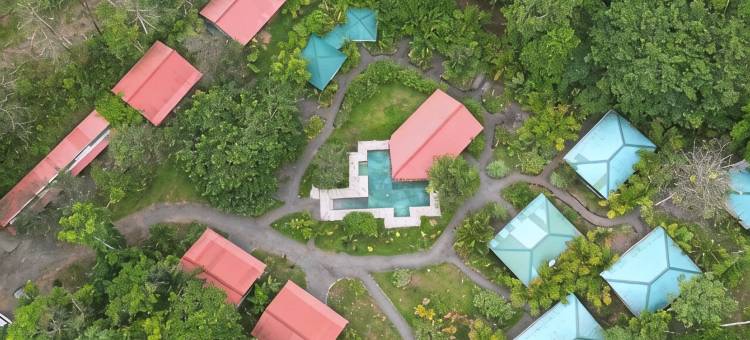 色乐斯特之星芬卡酒店(Hotel Finca L’Étoile Celeste)图片
