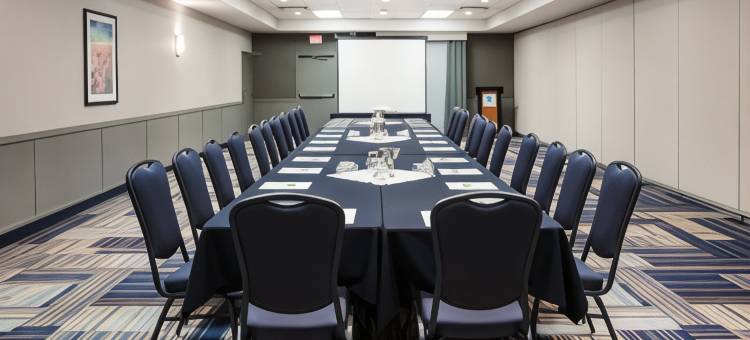 Holiday Inn & Suites 大草原城会议CTR(Holiday Inn & Suites GRANDE PRAIRIE-CONFERENCE CTR by IHG)图片