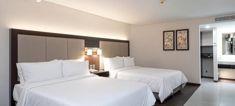 墨西哥大教堂智选假日酒店(Holiday Inn Express Mexico Basilica by IHG)图片