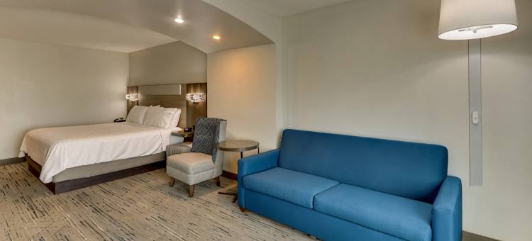 洲际智选假日酒店及套房阿德莫尔(Holiday Inn Express & Suites ARDMORE by IHG)图片