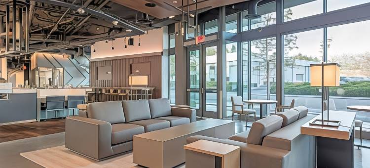 山景城帕洛阿尔托 沙市酒店(Shashi Hotel Mountain View Palo Alto)图片