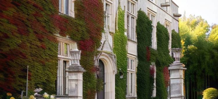 马蒙特城堡(Chateau de Maumont)图片