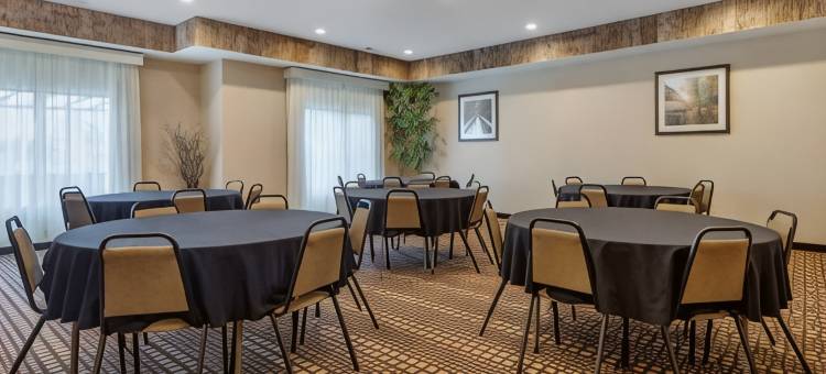 舒适套房酒店(Comfort Inn & Suites)图片