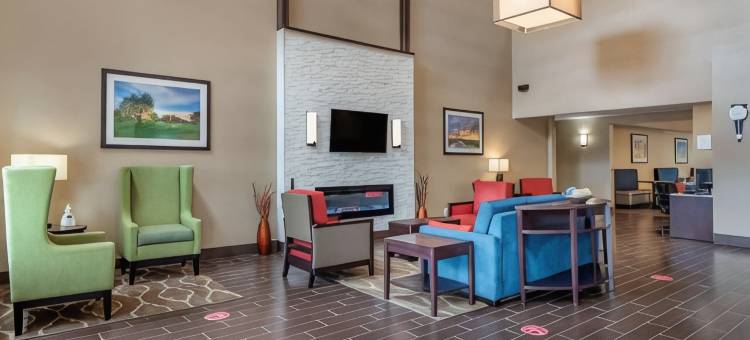 奥本I-69附近舒适套房酒店(Comfort Suites Auburn Near I-69)图片