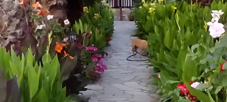 墨涅拉俄斯公寓(Menelaos Apartments)图片